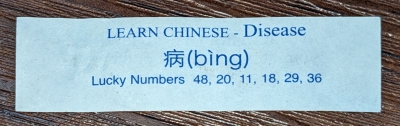 Bing fortune cookie